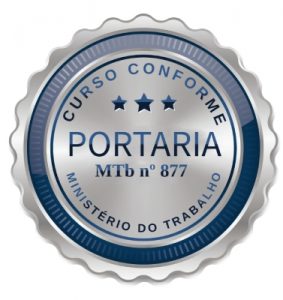 Selo portaria 877