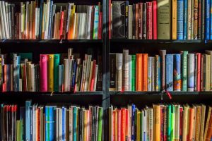 livros sobre investimentos para iniciantes