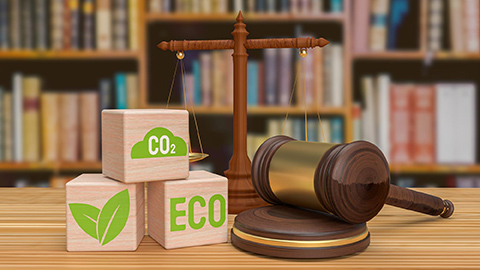 Capa do Curso de Direito Ambiental e Sustentabilidade