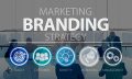 Capa do Curso de Gestão de Marcas e Branding