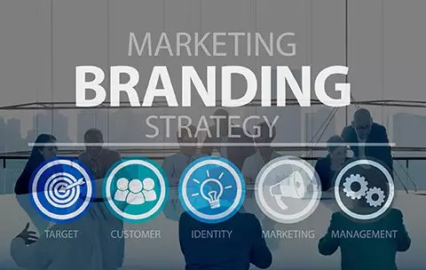 Capa do Curso de Gestão de Marcas e Branding