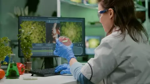 Curso-de-Nanotecnologia-e-Meio-Ambiente