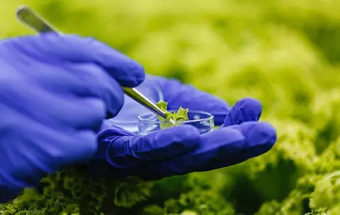Capa do Curso de Biologia da Conservação
