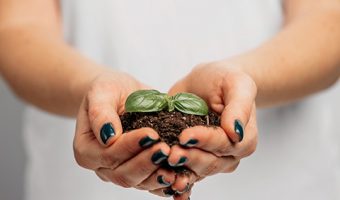 Capa do Curso de Ecologia Aplicada à Conservação