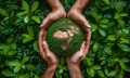 Capa do Curso de Ecologia e Biodiversidade
