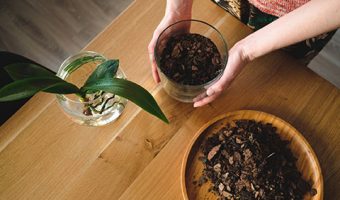 Capa do Curso de Fertilidade do Solo e Nutrição de Plantas