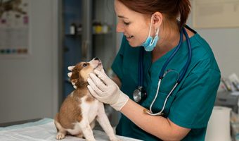 Capa do Curso de Medicina Veterinária Preventiva