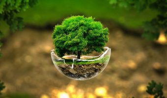 noticiasconcursos.com.br-clima-e-biodiversidade-por-que-e-como-os-biomas-diferem-clima-e-biodiversidade