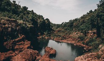 Capa do Curso de Ecologia de Paisagens