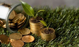 Capa do Curso de Economia e Administração Florestal