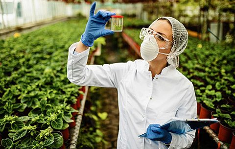 Capa do Curso de Química Ambiental