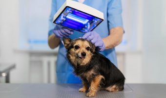 Capa do Curso de Tecnologia de Produtos de Origem Animal