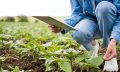 Curso-de-Agricultura-de-Precisão