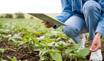 Curso-de-Agricultura-de-Precisão