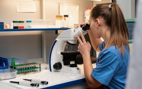 Curso-de-Microbiologia-Aplicada